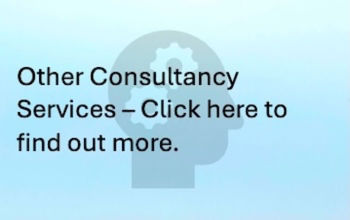 Consultancy Services by Data Solutions